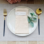 Vellum Place Card with Paper Clip