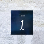 Starry Bliss Table Number